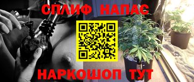 Альфа ПВП Пенза