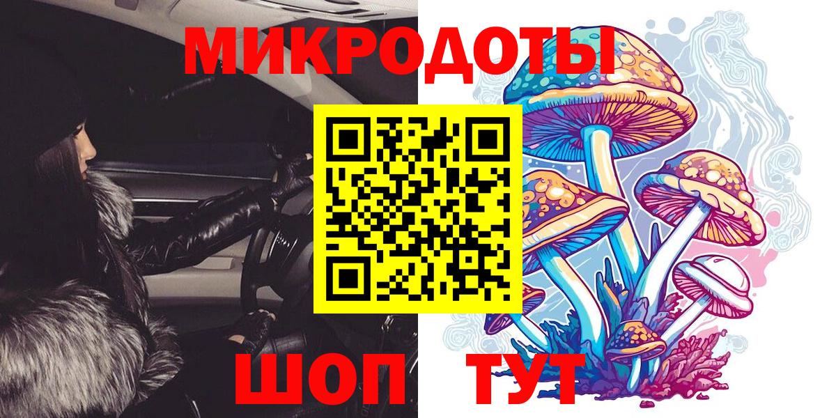 Псилоцибиновые грибы Psilocybine cubensis Советский