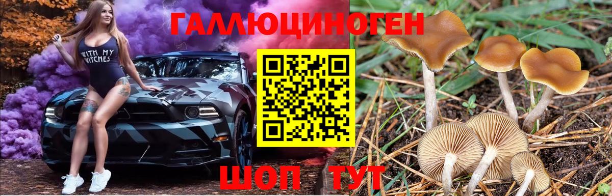 Галлюциногенные грибы GOLDEN TEACHER  Вход с VPN  Советский 